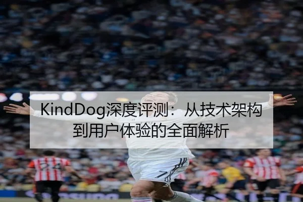 KindDog深度评测：从技术架构到用户体验的全面解析